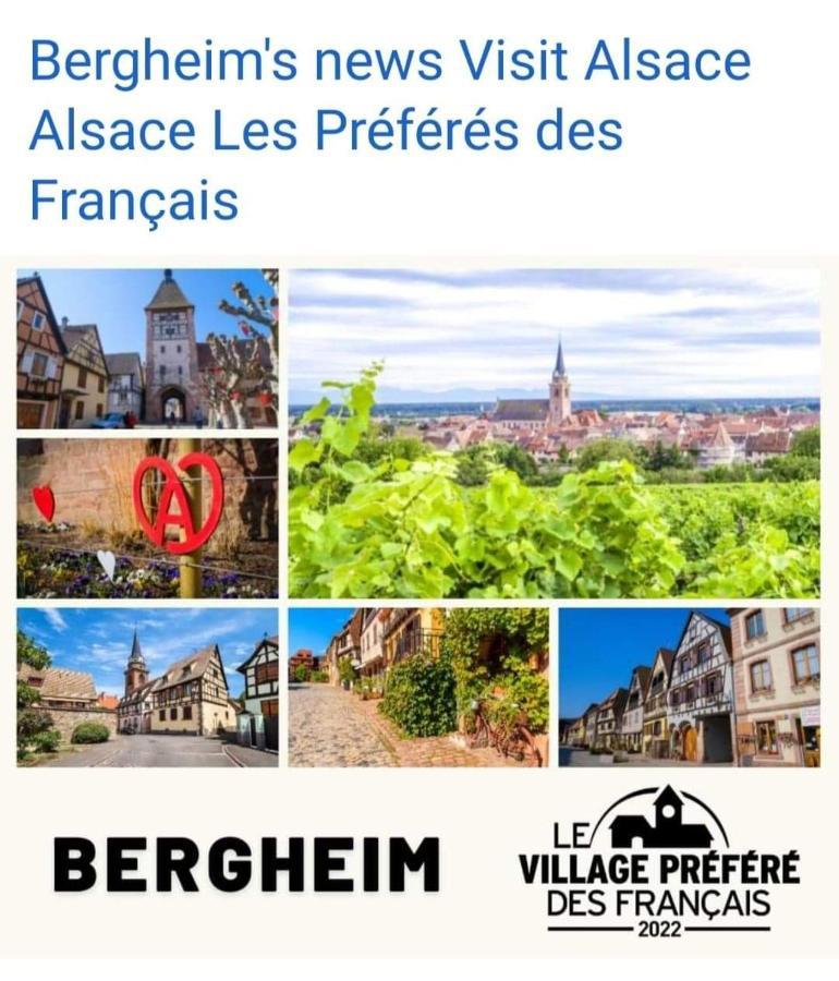 La Maison Des Tanneurs Ribeauvillé Dış mekan fotoğraf