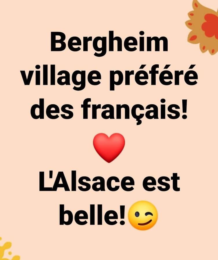 La Maison Des Tanneurs Ribeauvillé Dış mekan fotoğraf