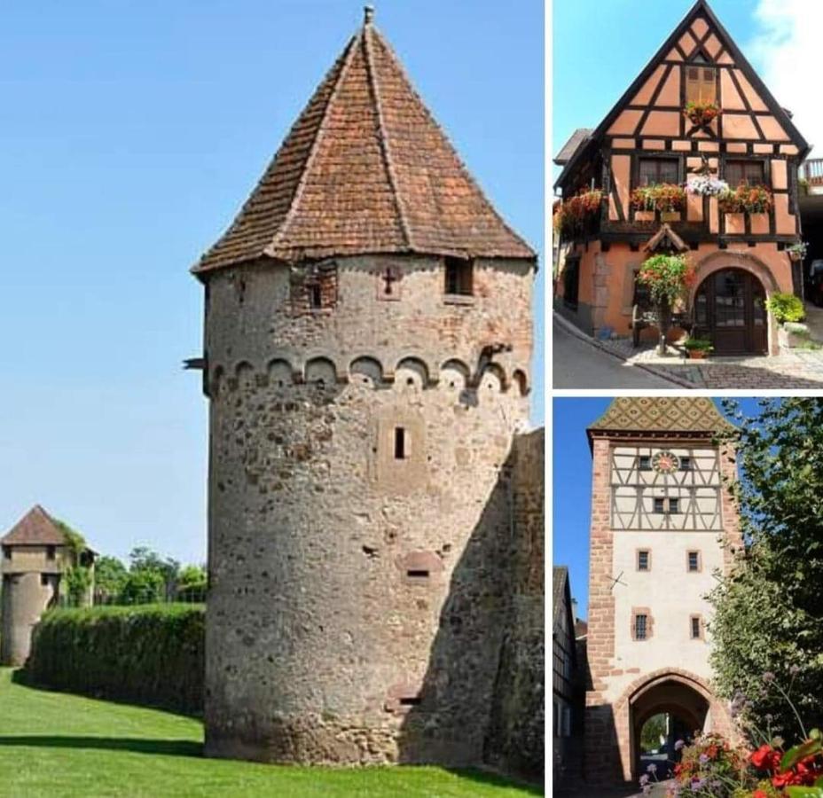 La Maison Des Tanneurs Ribeauvillé Dış mekan fotoğraf