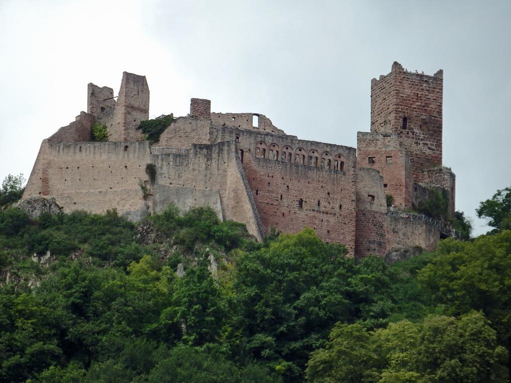 La Maison Des Tanneurs Ribeauvillé Dış mekan fotoğraf