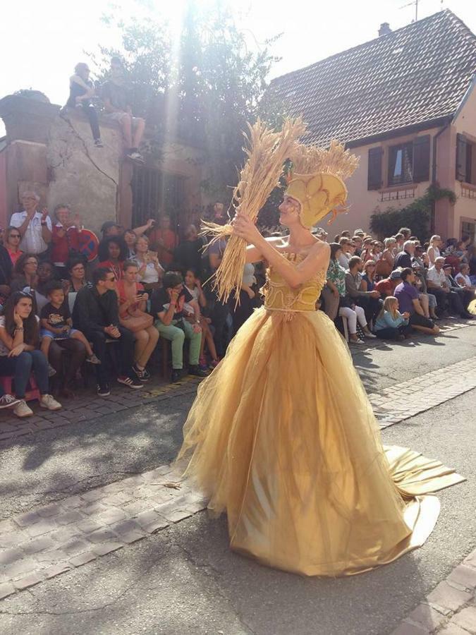 La Maison Des Tanneurs Ribeauvillé Dış mekan fotoğraf