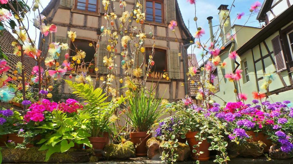 La Maison Des Tanneurs Ribeauvillé Dış mekan fotoğraf